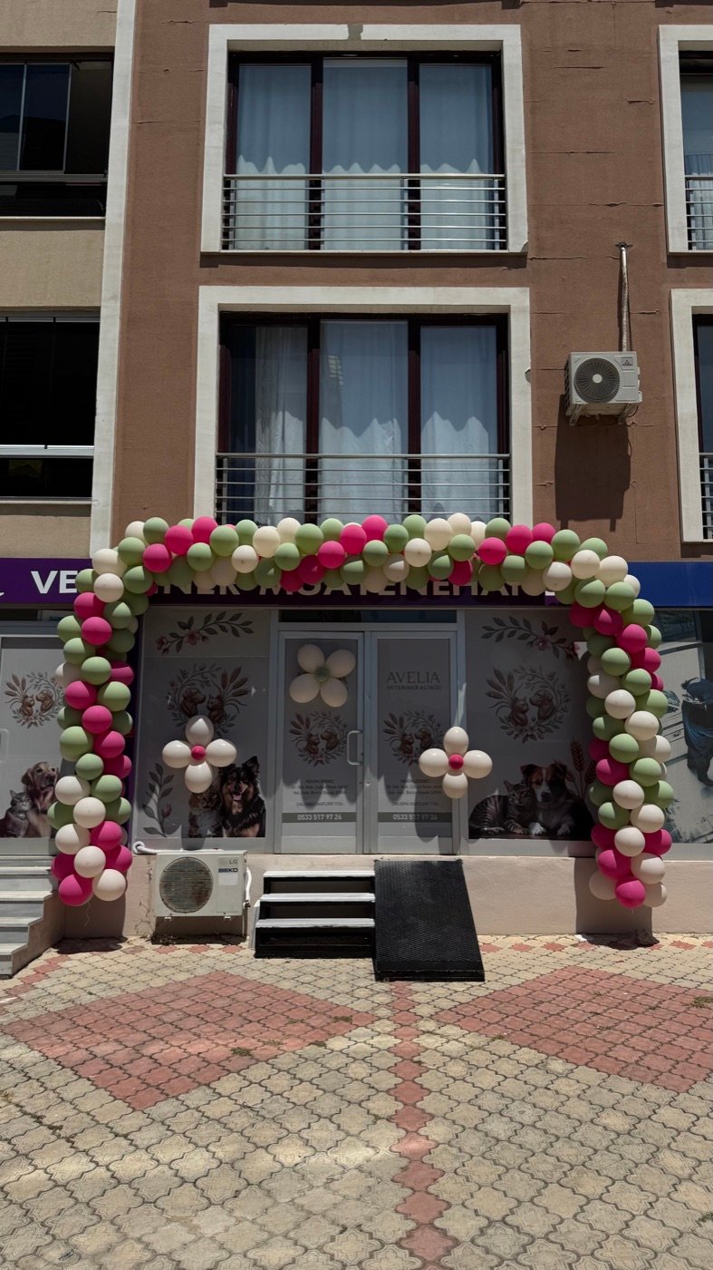 Avelia Veteriner Kliniği Açılış Balon Zinciri