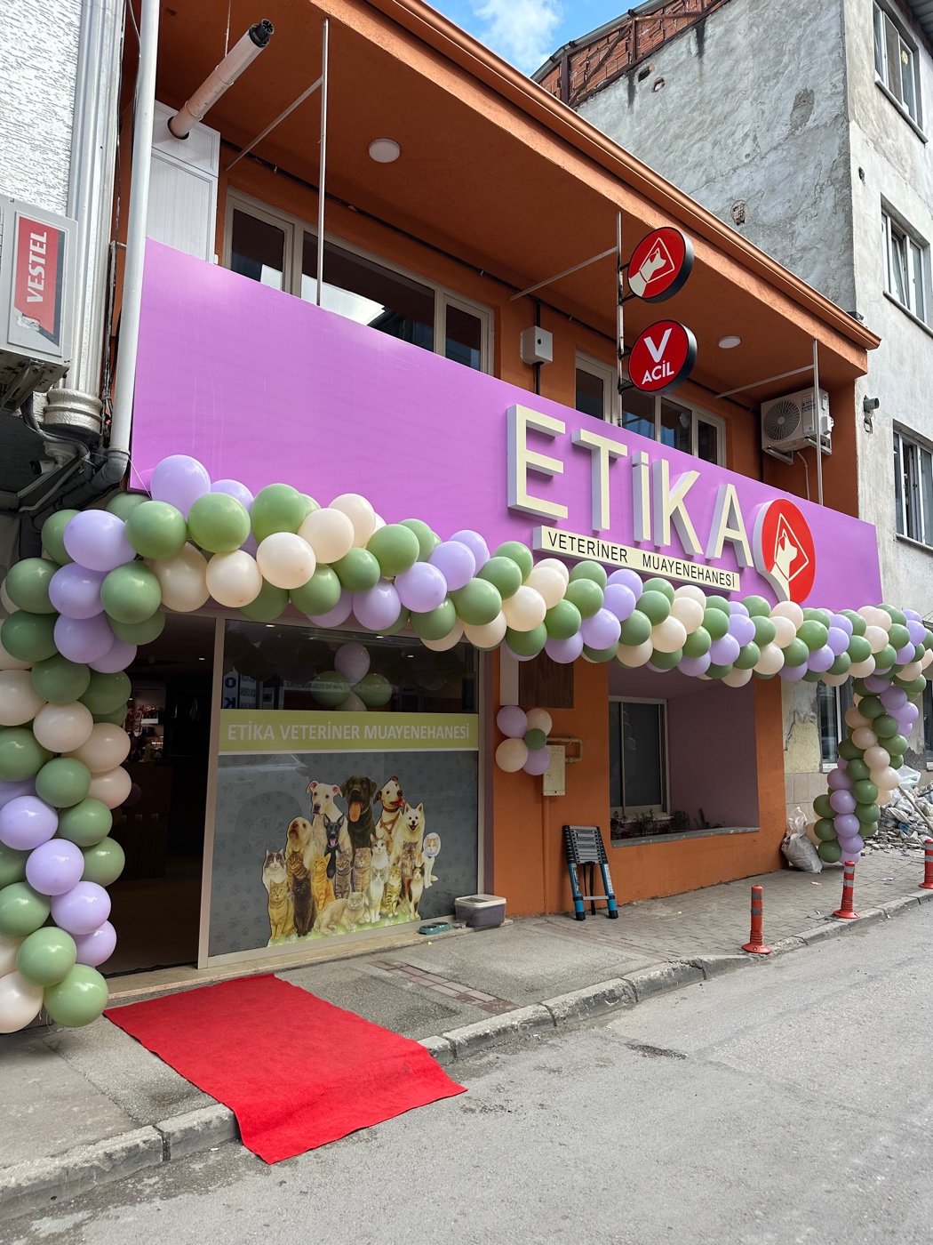 Etika Veteriner Muayenehanesi Balon Takı Süslemesi